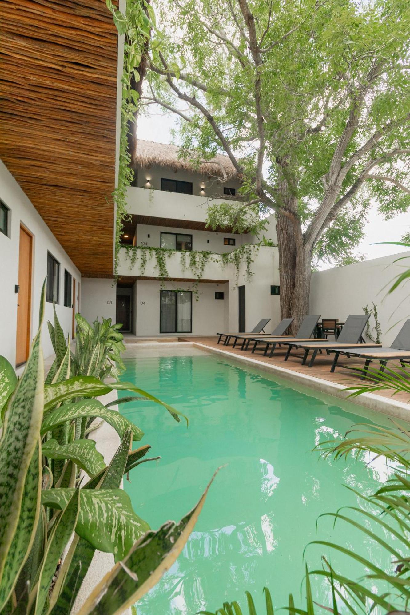 Cozy Apartment With Pool In Bacalar Center المظهر الخارجي الصورة